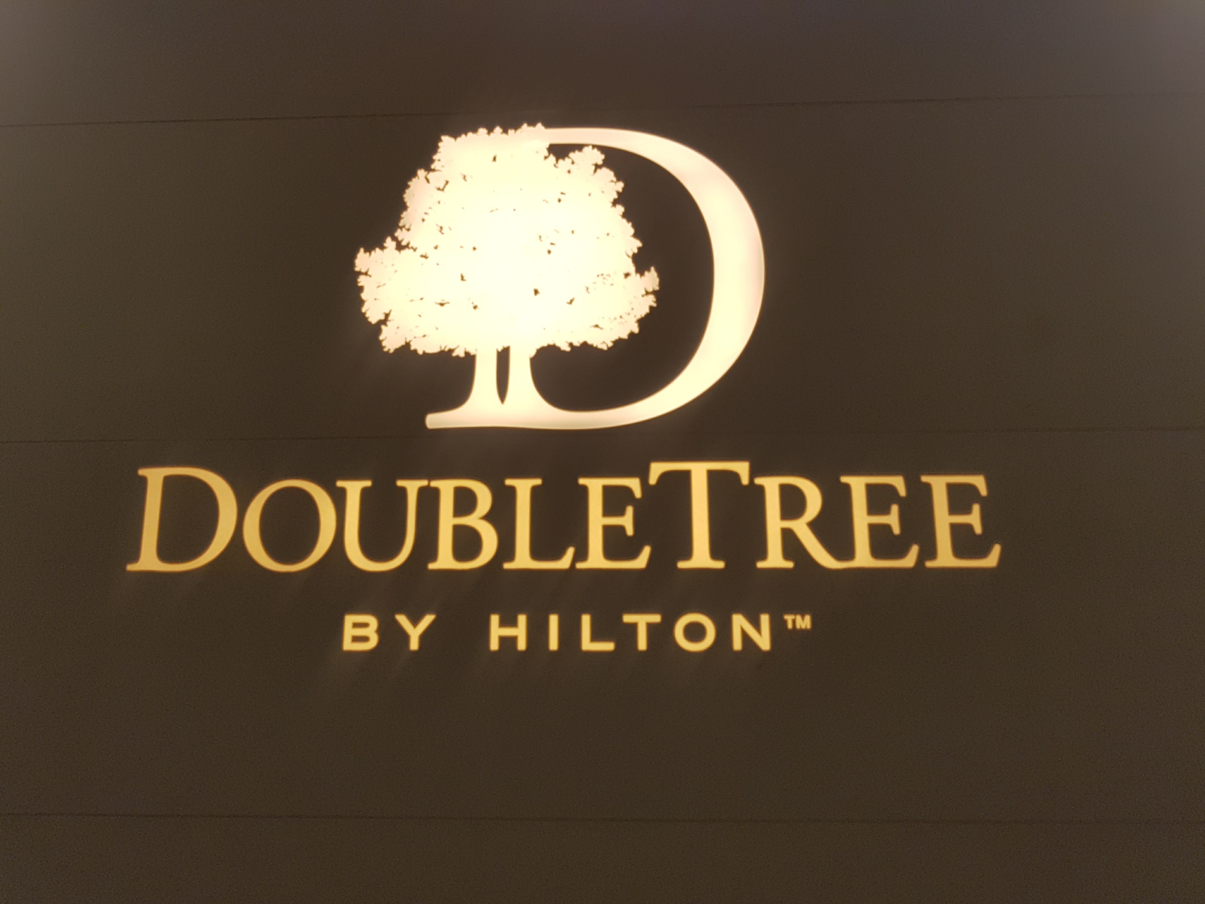 Double tree. Дабл три бай Хилтон лого. Даблтри бай Хилтон логотип. DOUBLETREE by Hilton Moscow Marina лого. Отель Хилтон Double Tree логотип.